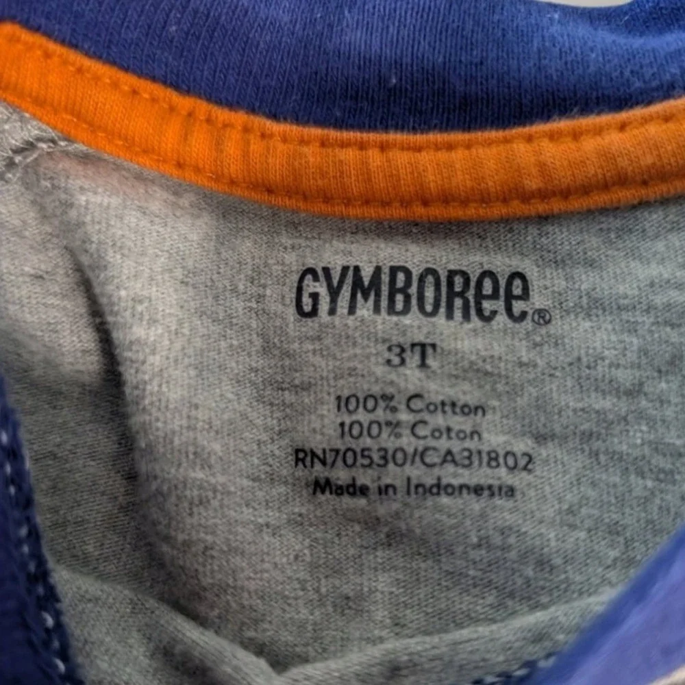 Gymboree Boys Gray Blue Basketball Graphic Raglan T-Shirt 3T